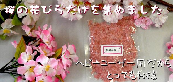 桜の花びら・お徳用